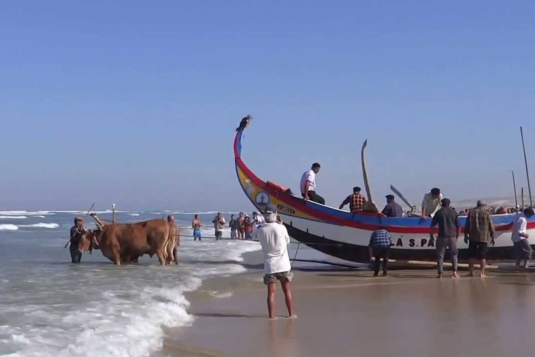 Praia da Barrinha景点图片