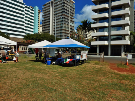 Aloha Market at Waikiki-火奴鲁鲁必去景点