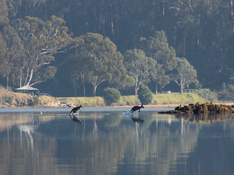 Kiah Wilderness Tours-Kiah必去景点