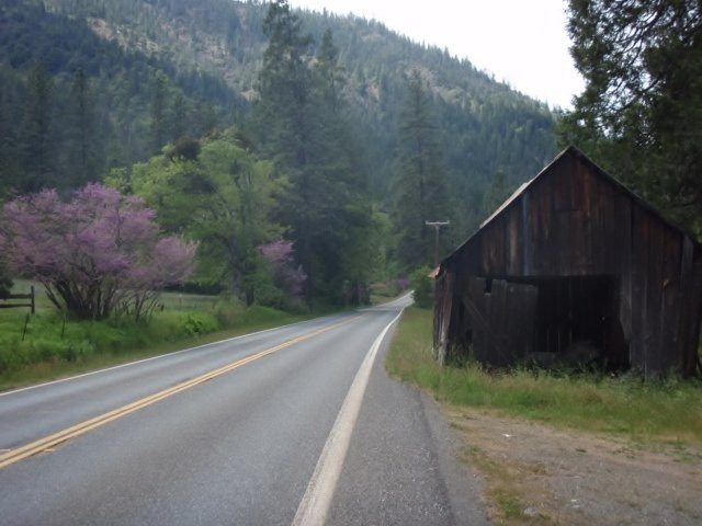 Forest Lodge Motel主图