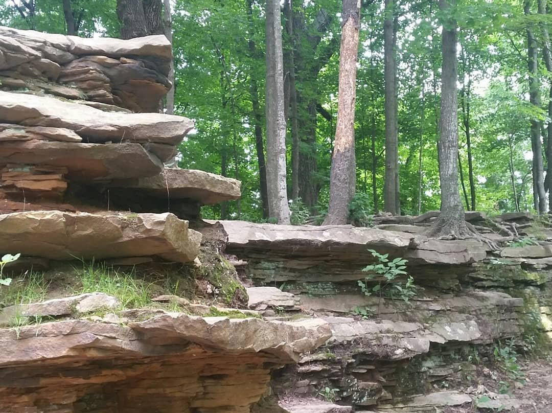 Pewit's Nest Gorge-巴拉布必去景点