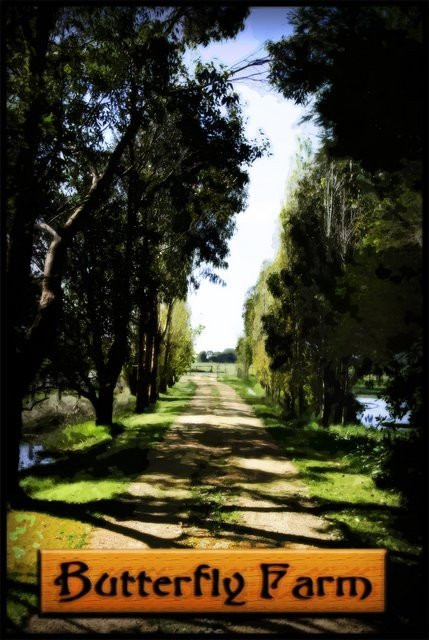 Butterfly Farm B&B主图
