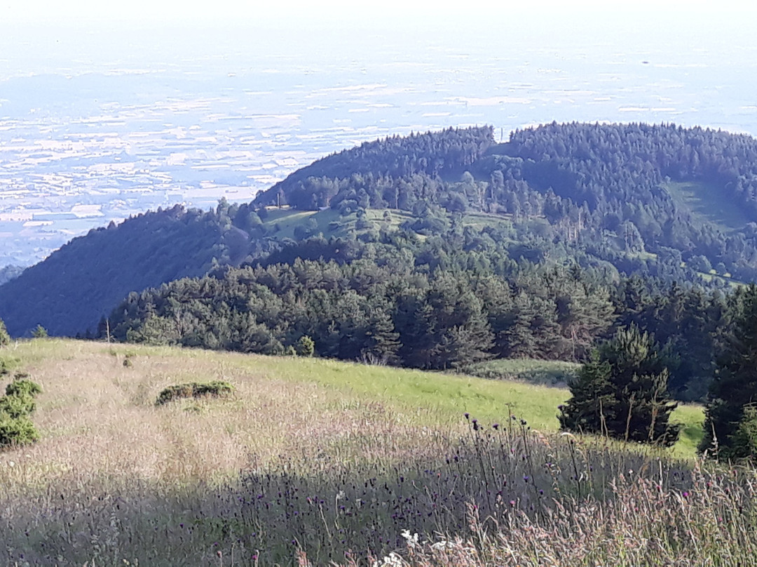 Torreano旅游攻略图片