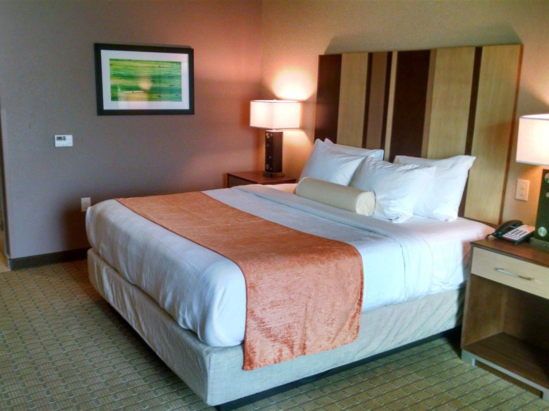 Best Western Plus Flatonia Inn主图