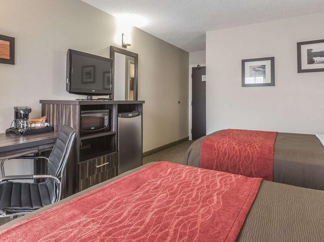 Comfort Inn Trenton Hotel主图