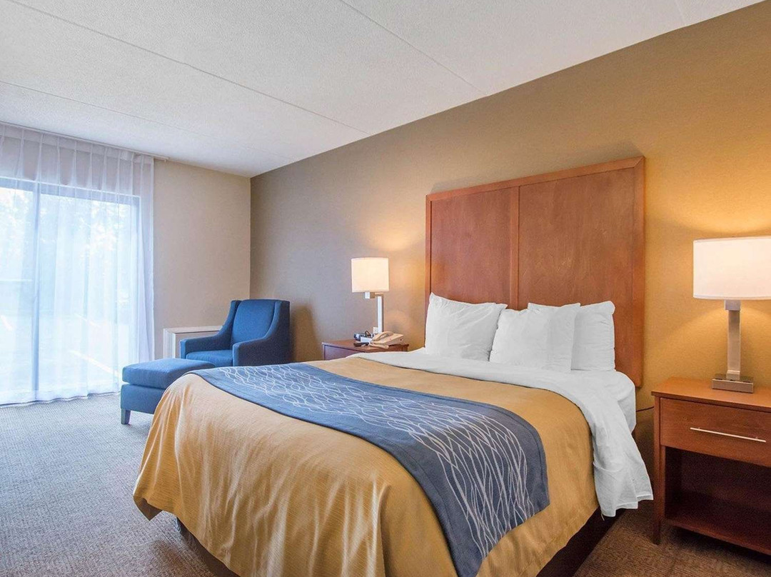 Comfort Inn Bathurst主图