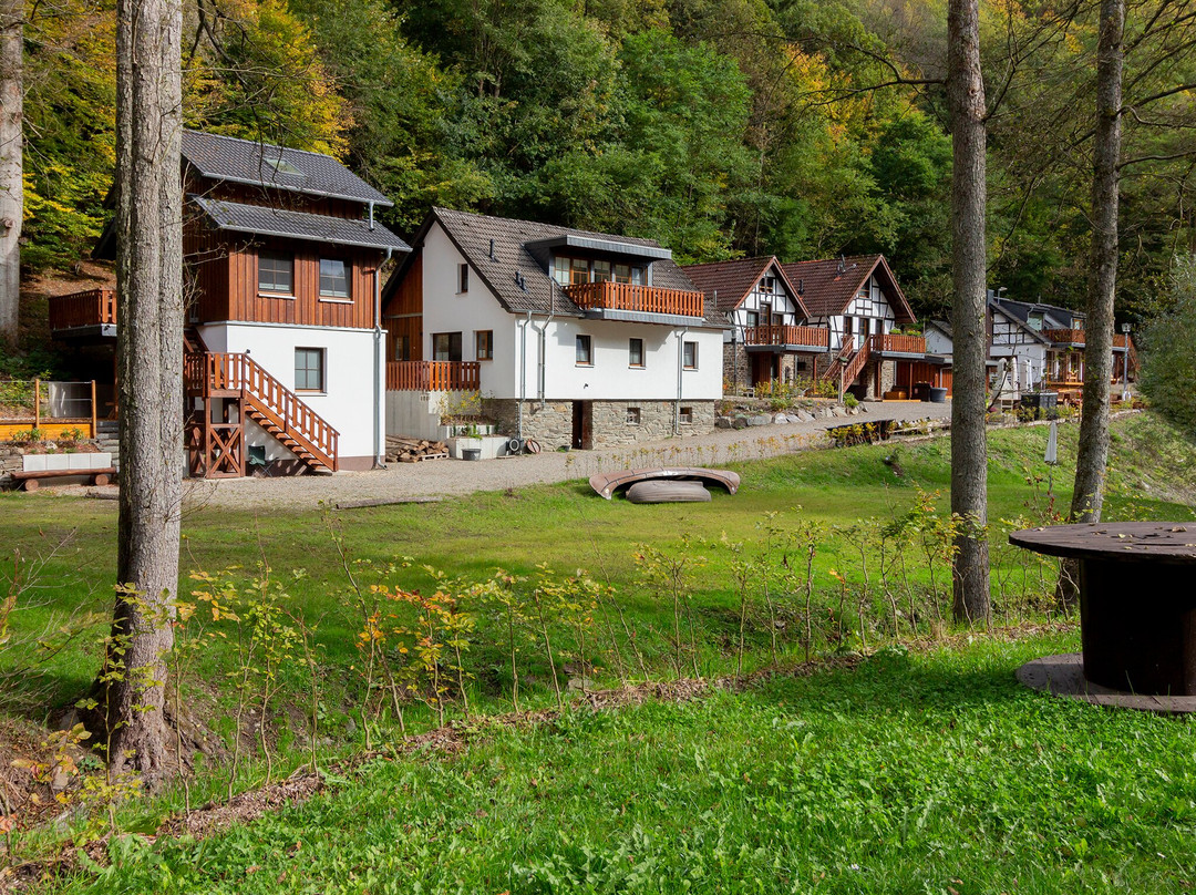 Rursee Schilsbachtal - Naturnahe Auszeit am Rursee - Eifel-Ferienwohnungen der Besonderen Art