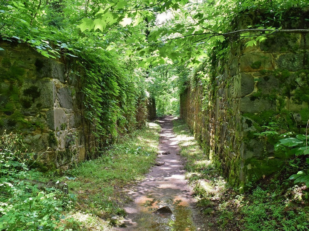 Landsford Canal State Park景点图片