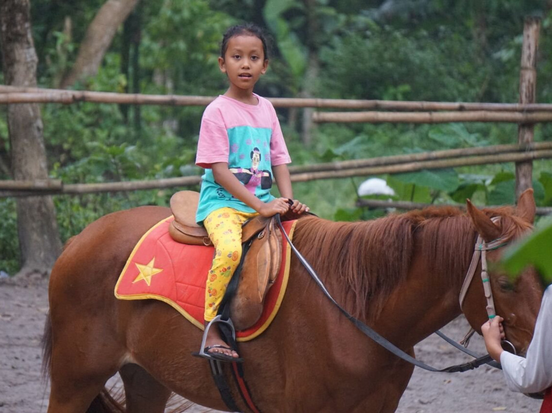 Bale Kuda Stable-Sleman District必去景点