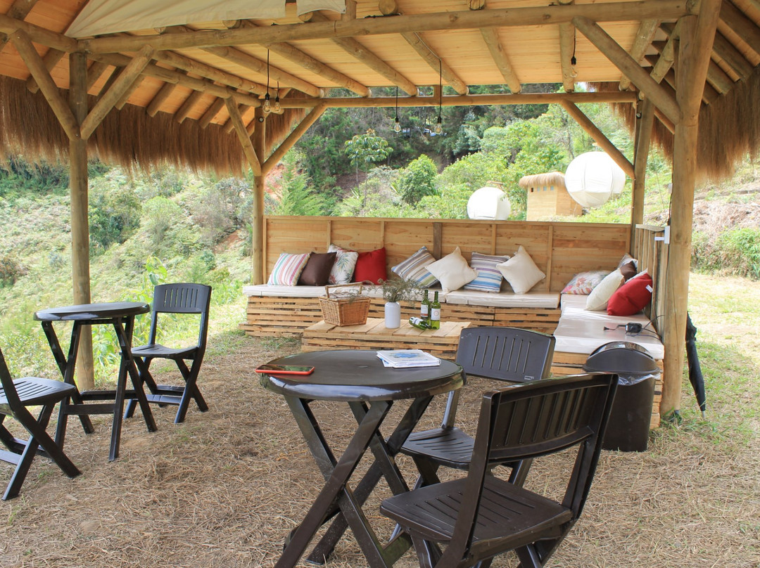 Levit Glamping主图