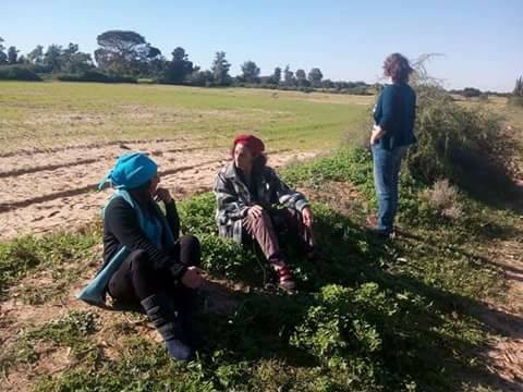 Dar Al Mansoura主图