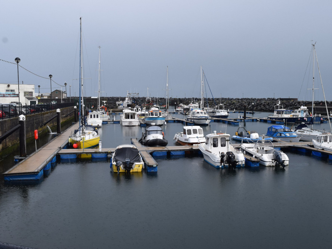 Ballycastle Harbour景点图片