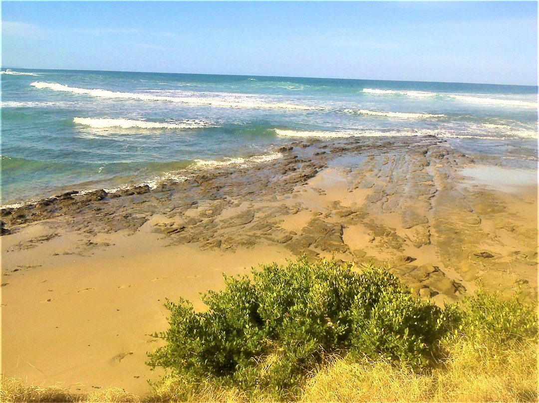 Shelly Beach-洛恩必去景点