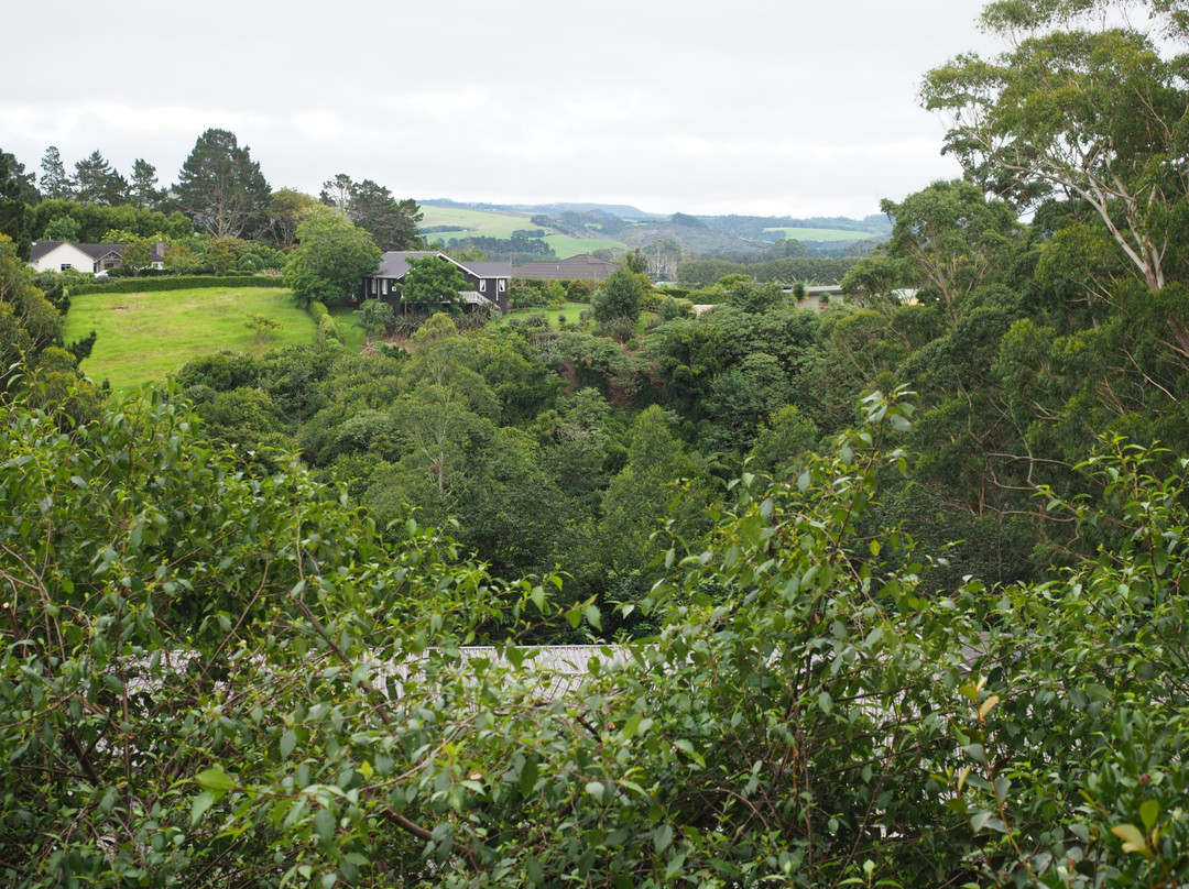 特里汗平房主图