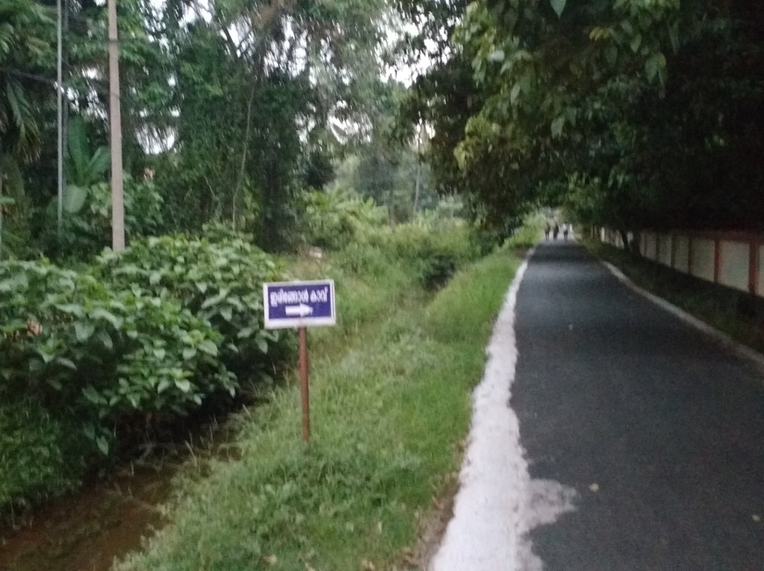 Iringole Forest Temple景点图片