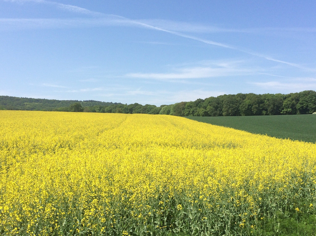 Naturparkzentrum Stromberg-Heuchelberg景点图片