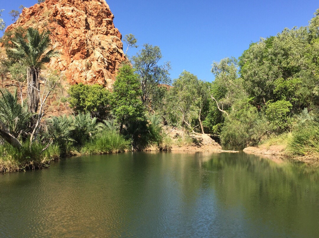 Palm Springs Nature Reserve景点图片