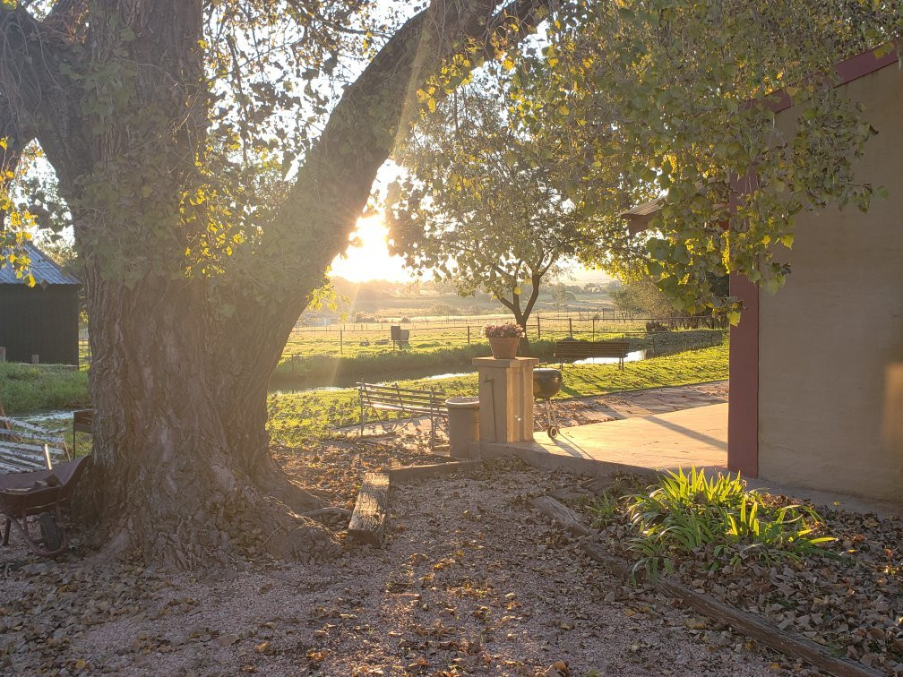 African Olive Country Estate主图