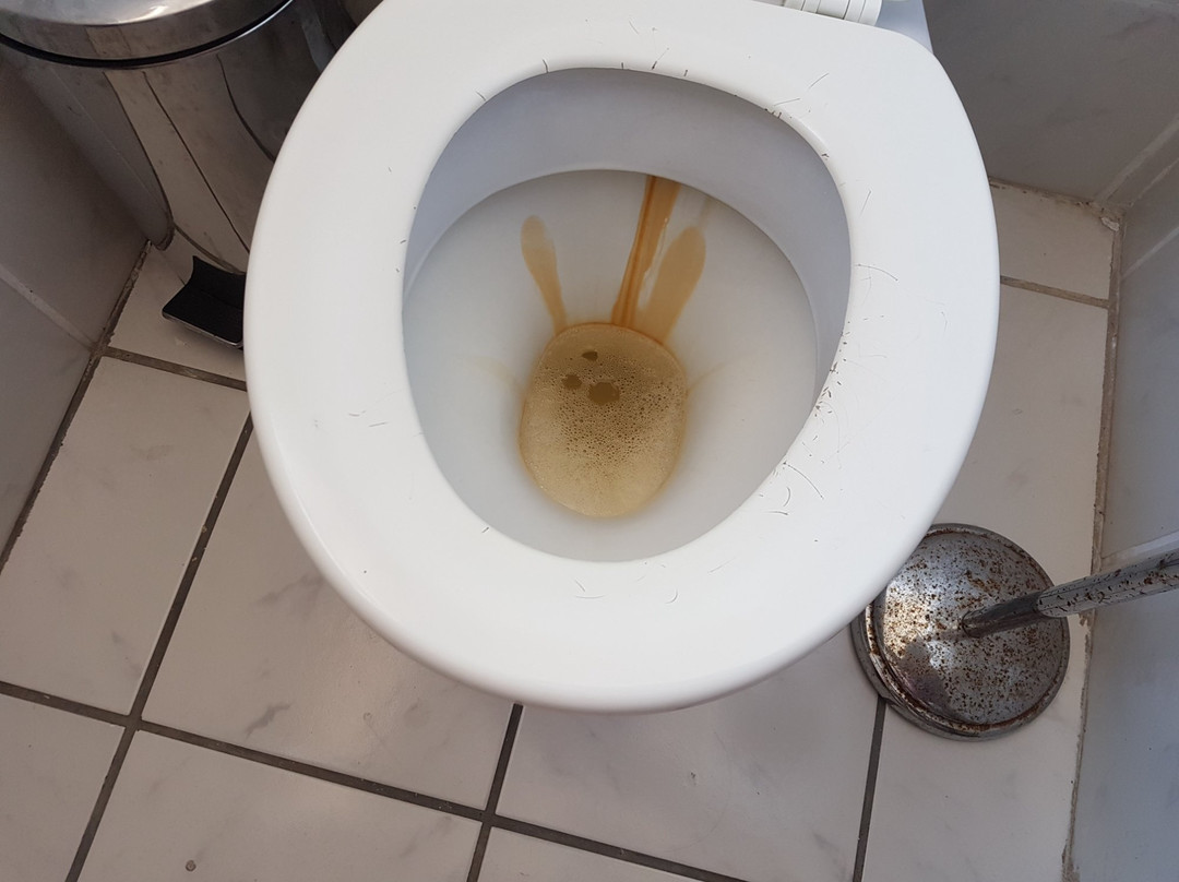 One One Guest House Kuils River主图