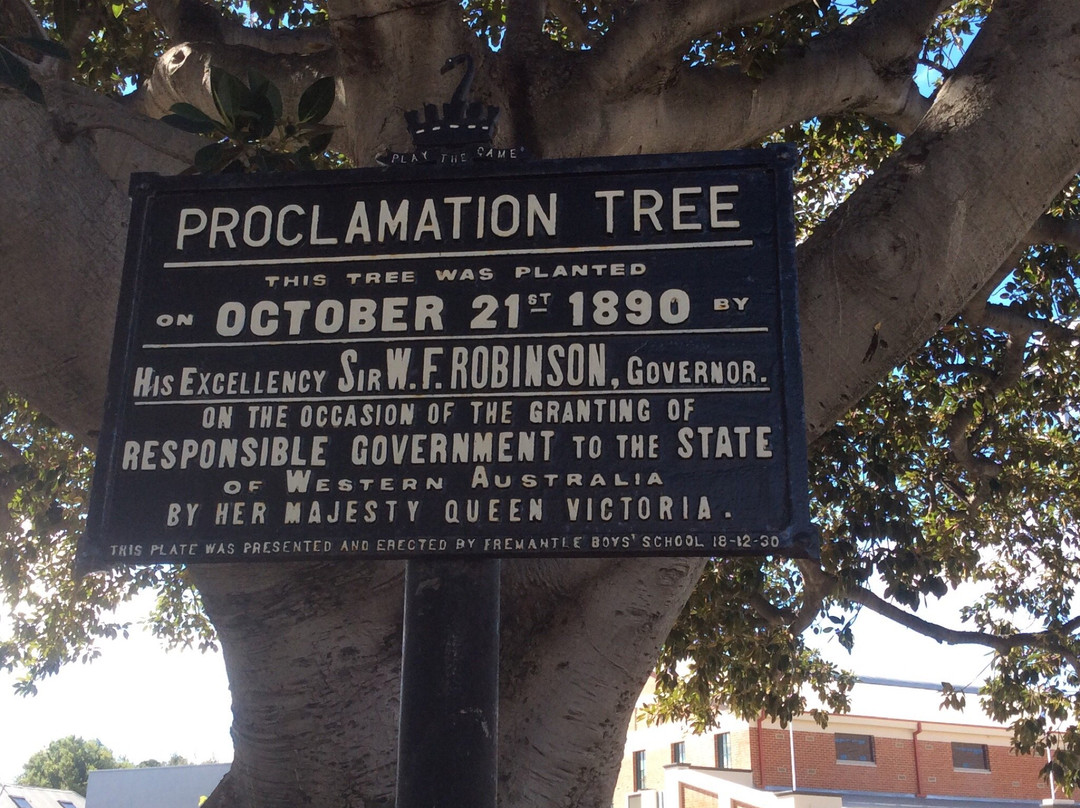 Proclamation Tree & Marmion Memorial景点图片