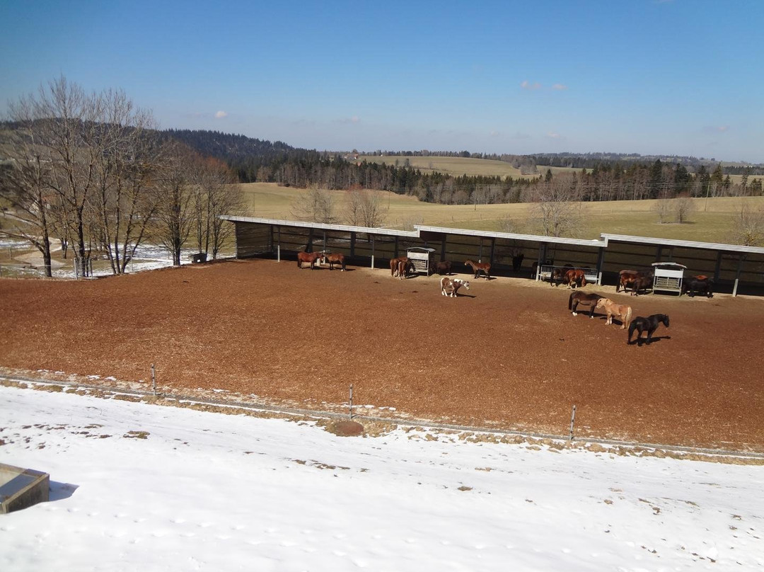 Fondation pour le cheval Le Roselet-Les Breuleux必去景点