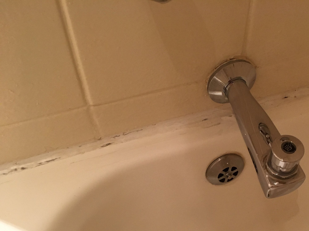 Garden Court Mthatha主图