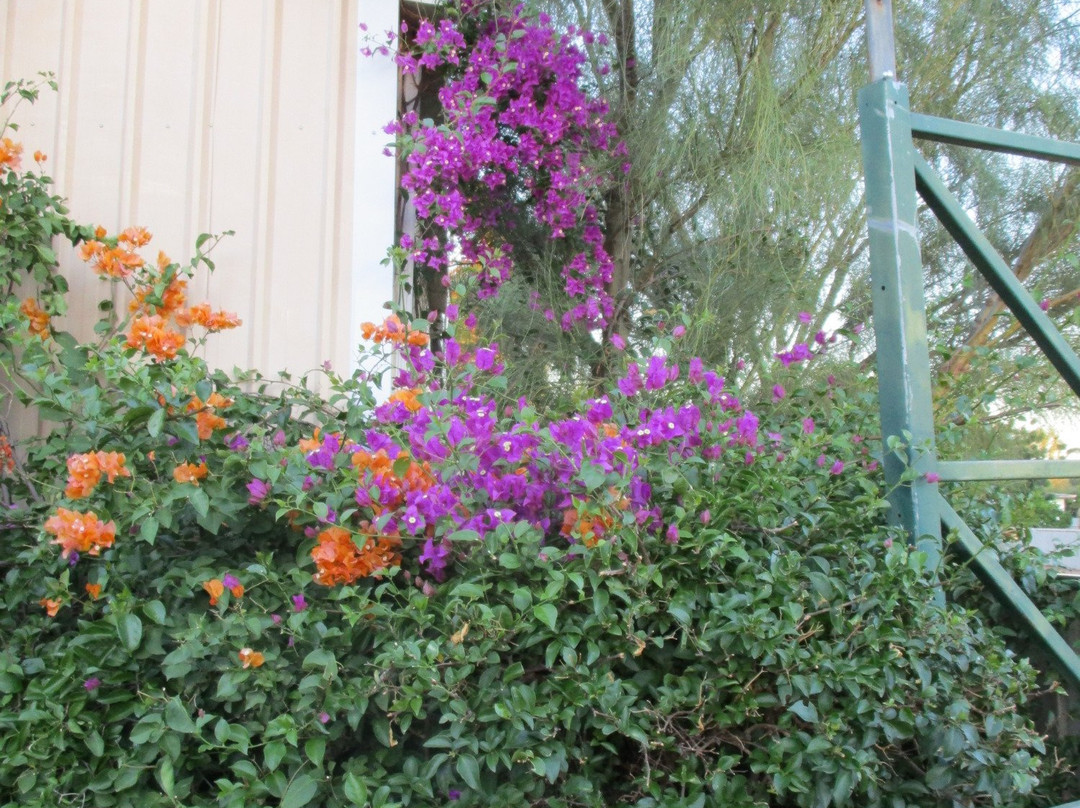 Windyhill Bed and Breakfast主图