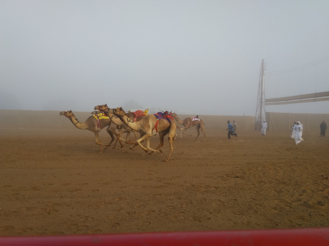 Al Sawan Camel Track-哈伊马角必去景点