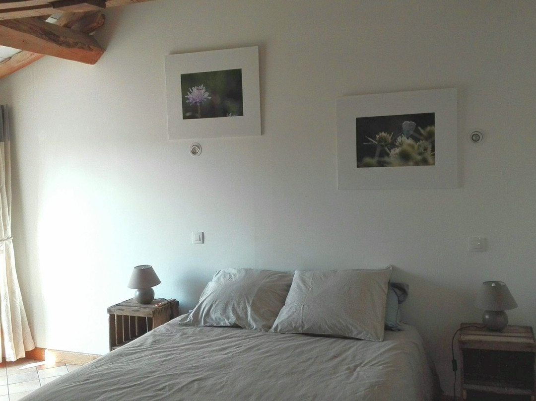 Ferme De Bellevue主图