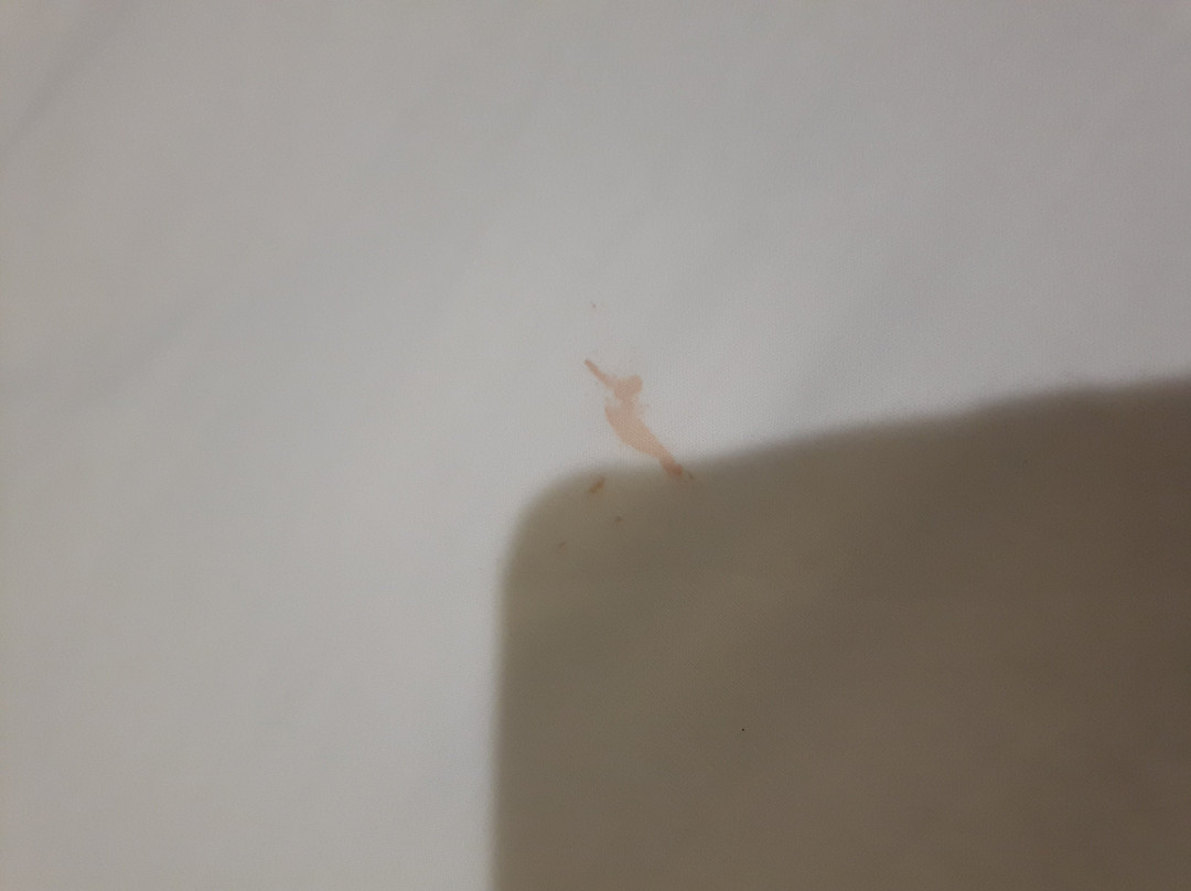 U Design Hotel Bukit Mertajam主图