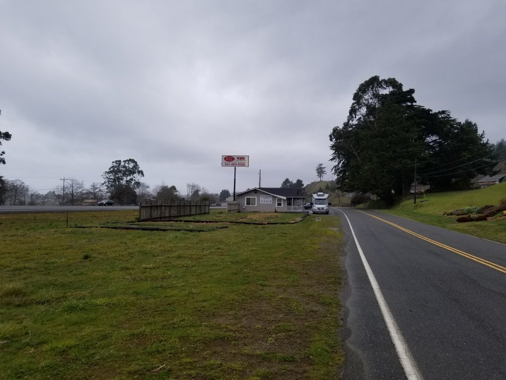 Oregon's Largest Monterey Cypress-布鲁金斯必去景点