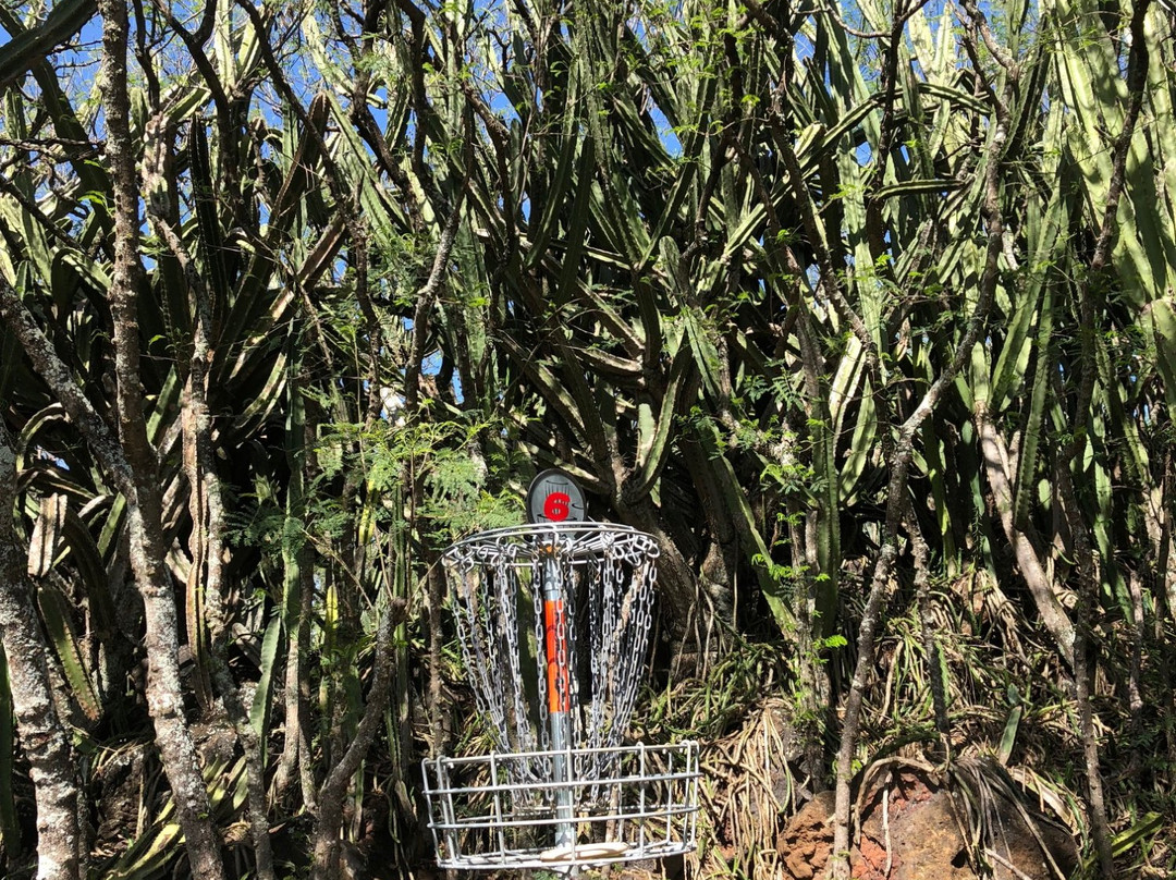 Weliweli Disc Golf Course-可洛亚必去景点