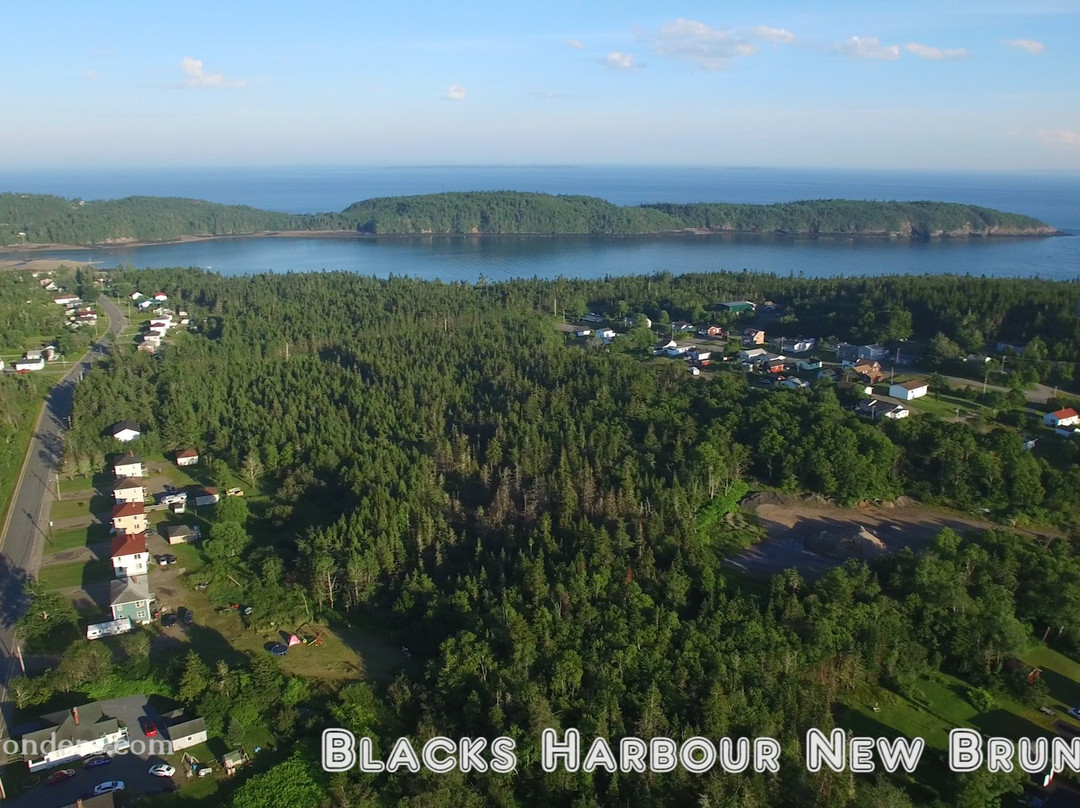 Harbour Tide Inn Bed & Breakfast主图