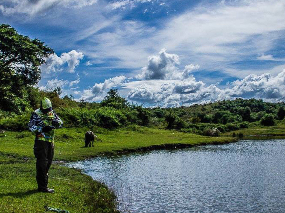 San Jose旅游攻略图片