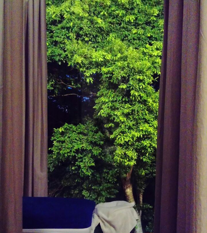 Royal Thai Spa-Playacar必去景点