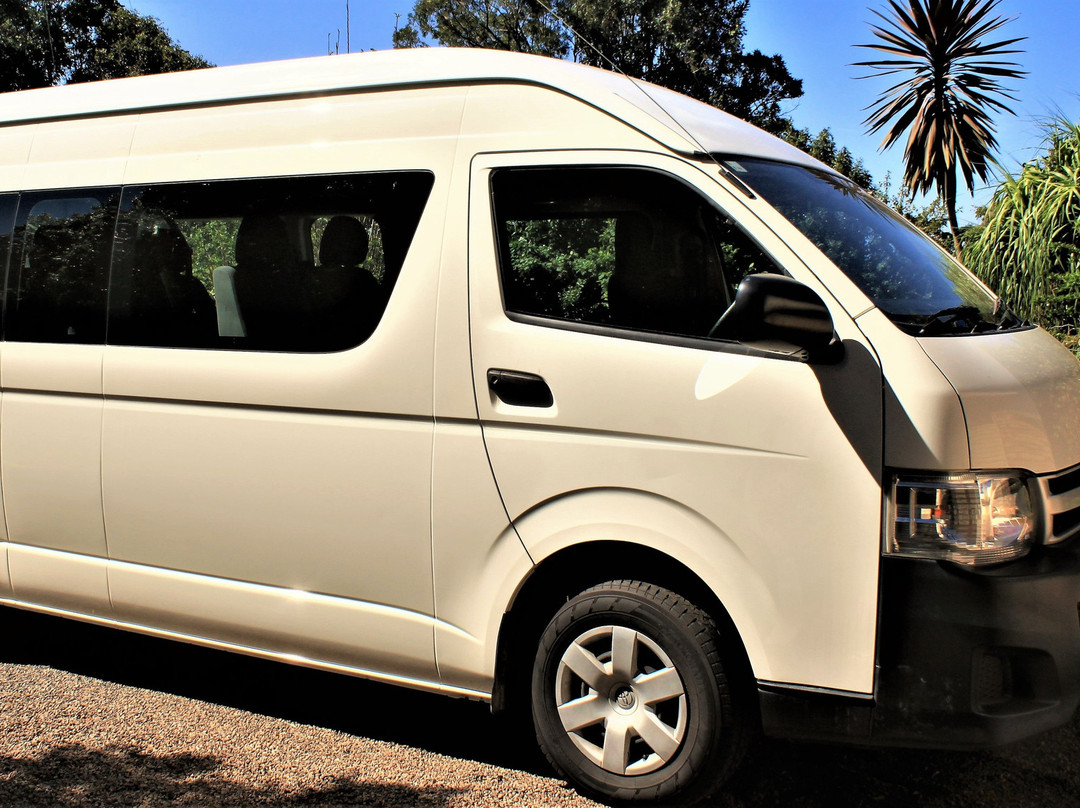 Maleny Montville Wedding Car and Tours景点图片