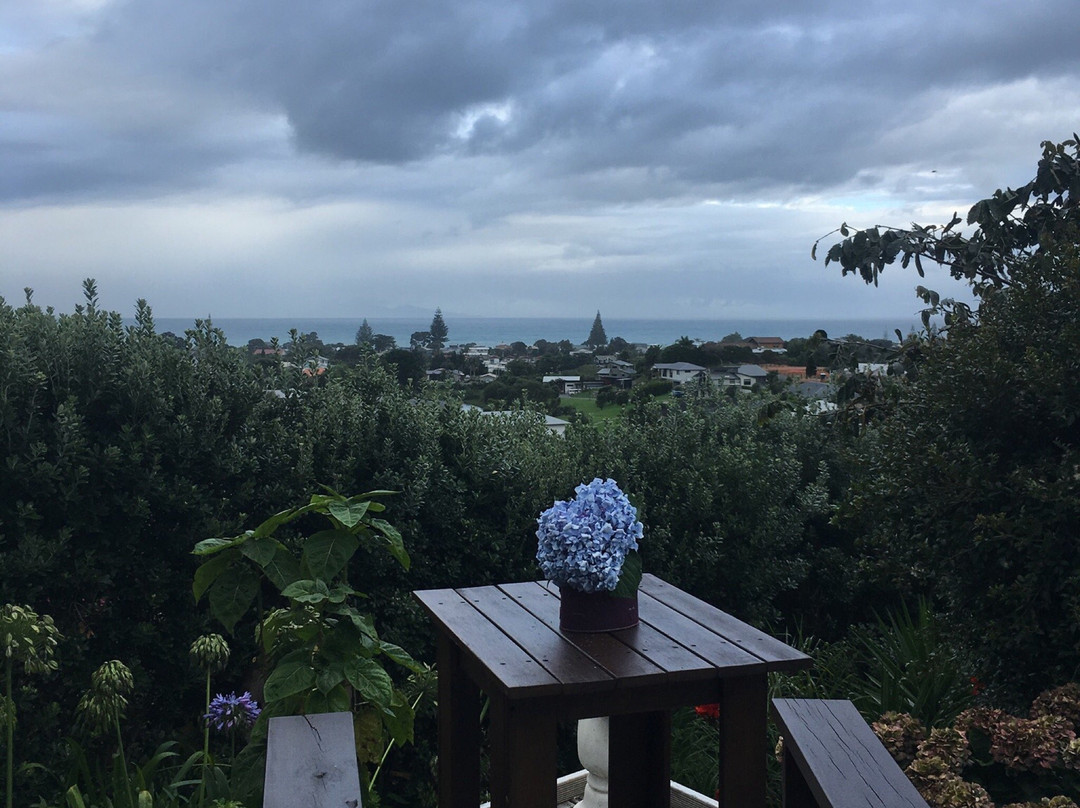 Tohora View Bed & Breakfast主图