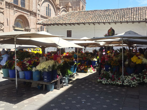 Cuenca Free Walking Tour-昆卡必去景点