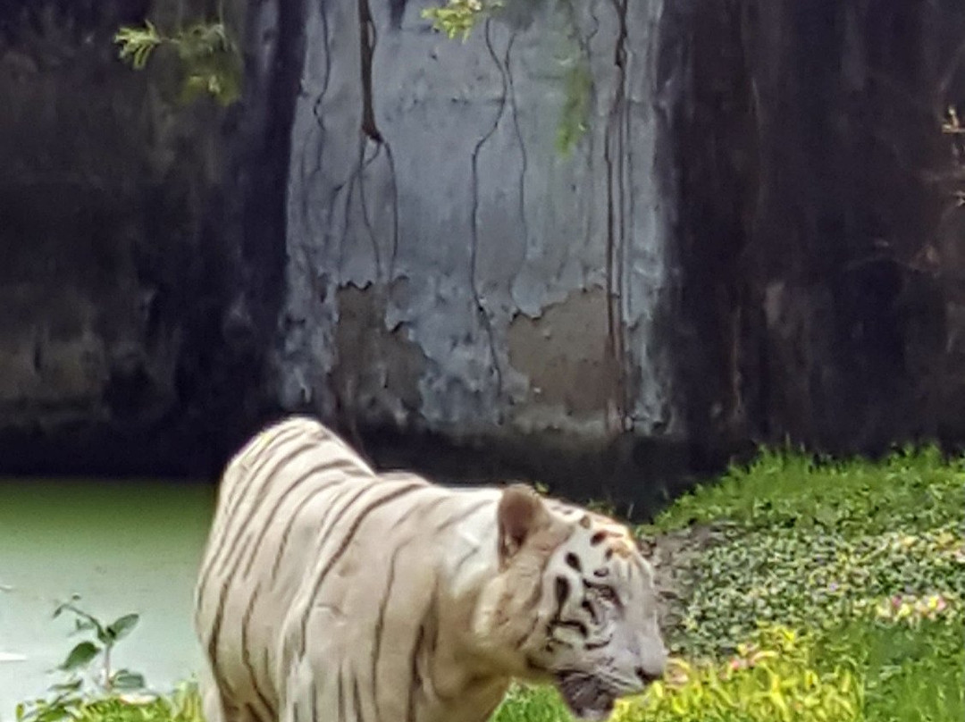 Nagaland Zoological Park景点图片