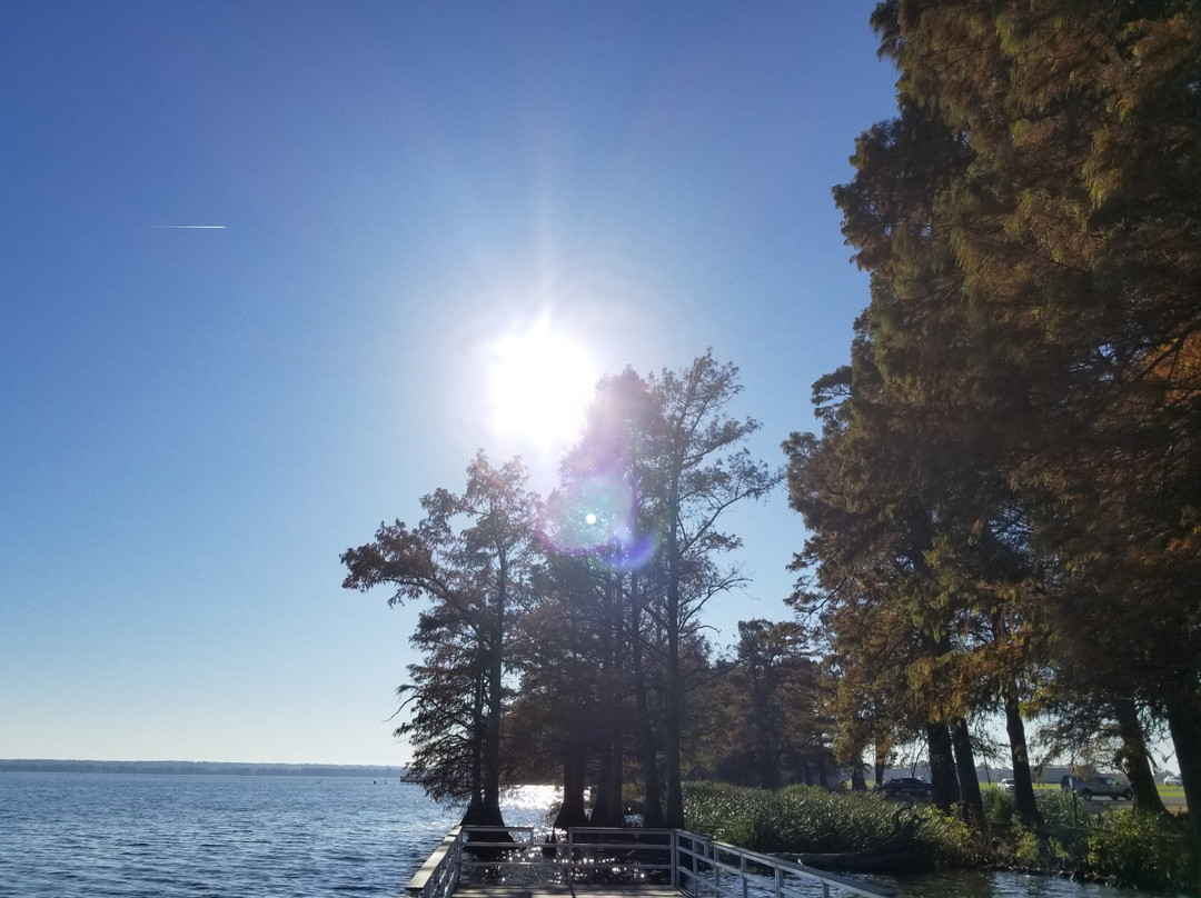 Reelfoot Lake Inn主图