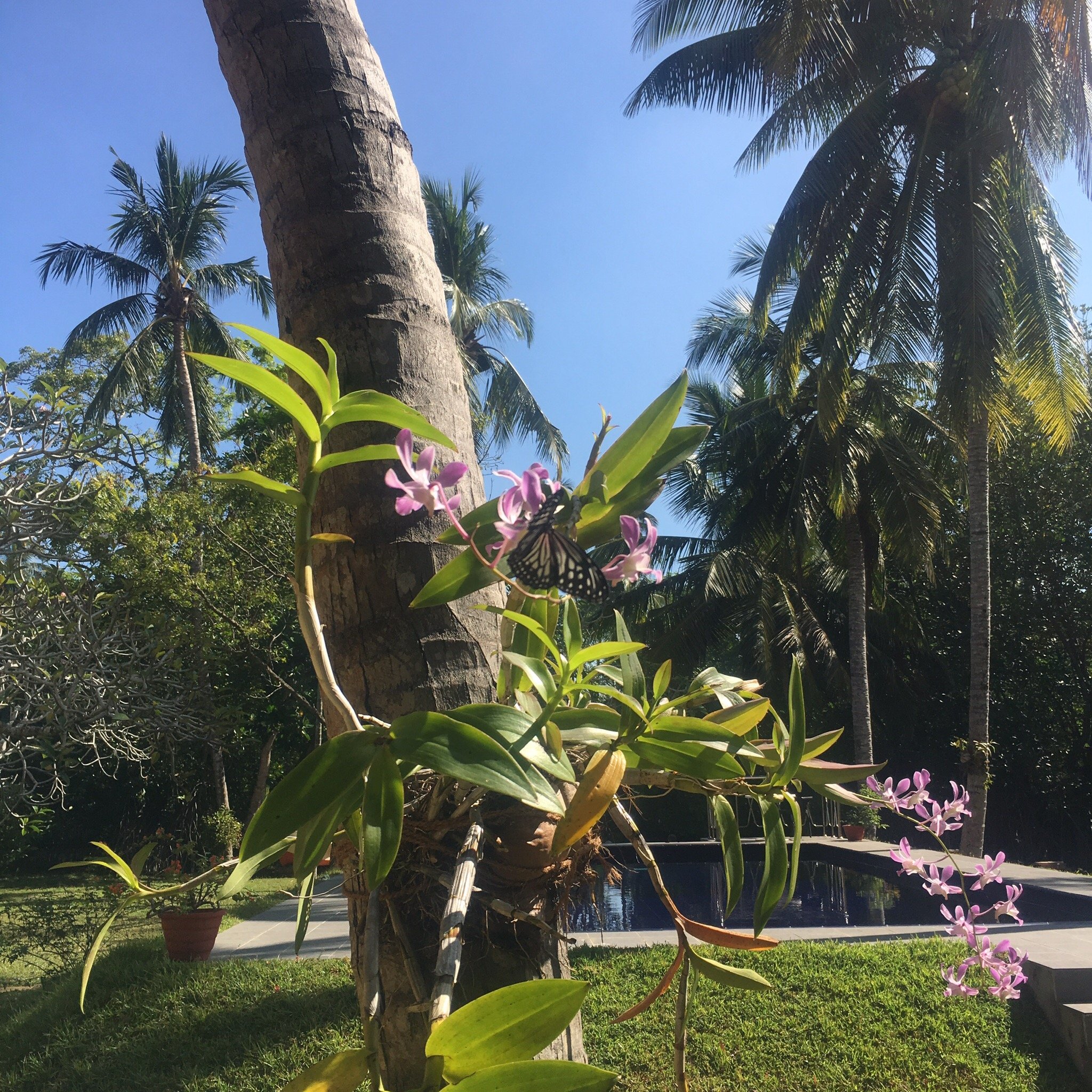 Muthumuni Ayurveda River Resort-官方