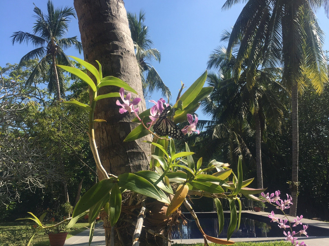 Muthumuni Ayurveda River Resort主图