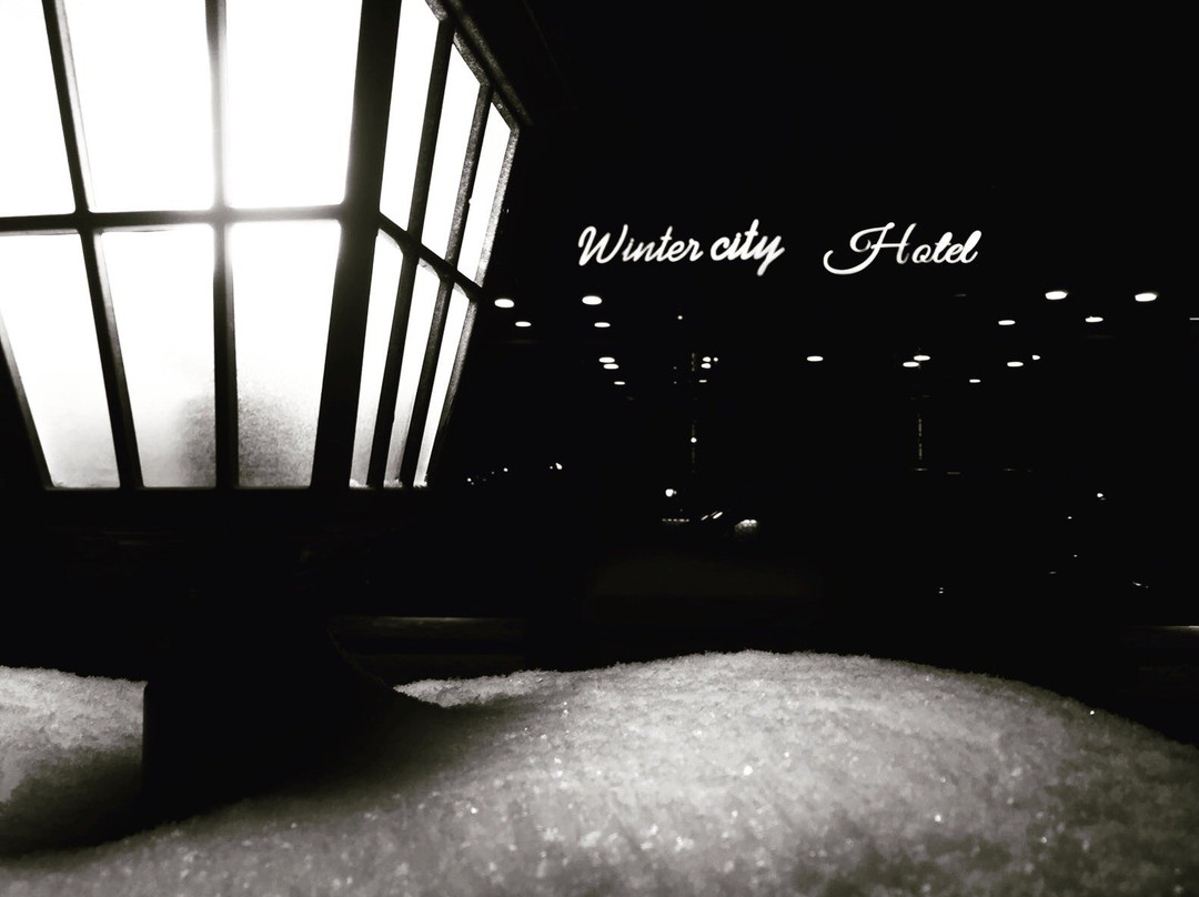 Winter City Hotel主图