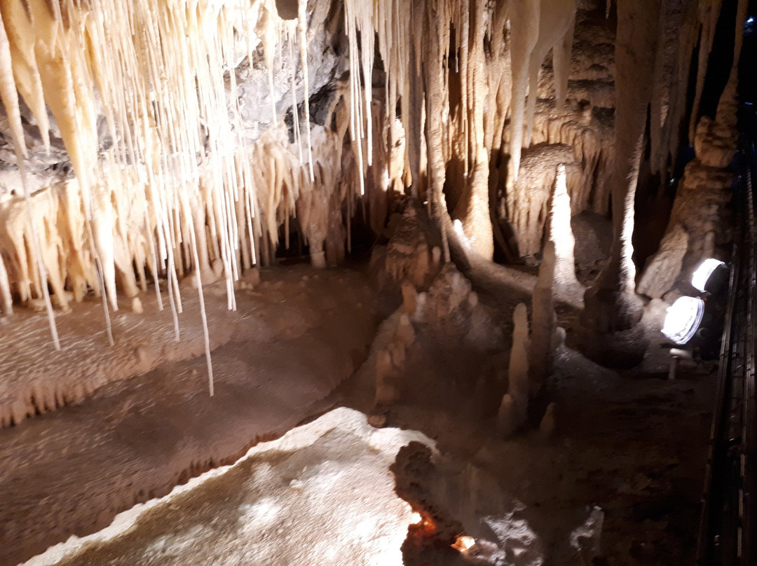 Robin's Nest Bed & Breakfast主图