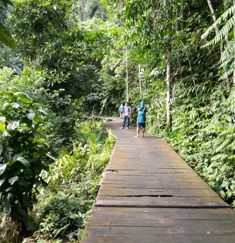 Warengkris Waterfall-四王岛必去景点