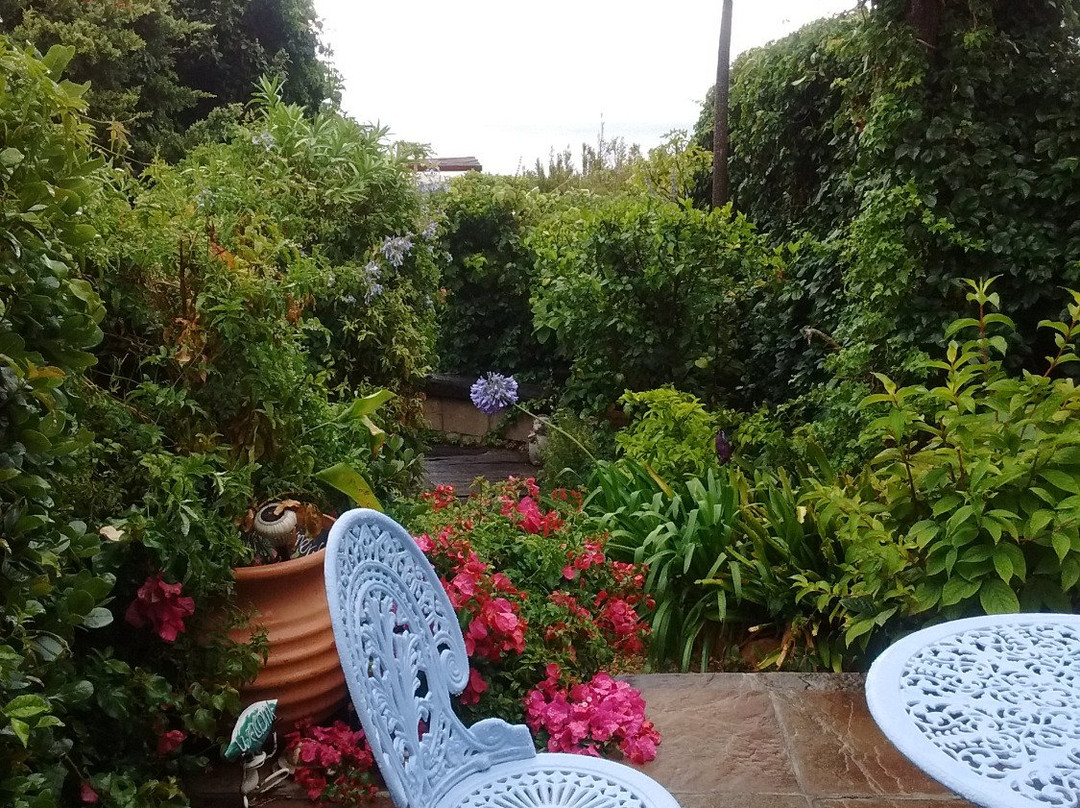 Cape Rose Cottage主图