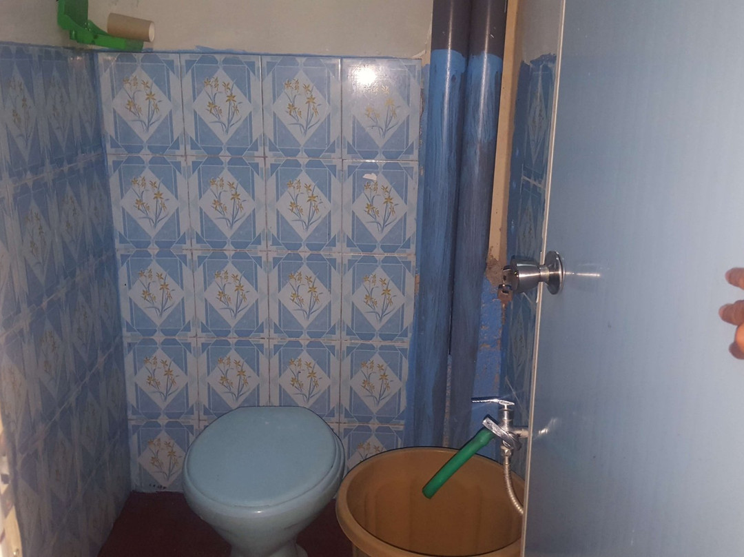 Bondowoso Ijen Bamboo Homestay主图