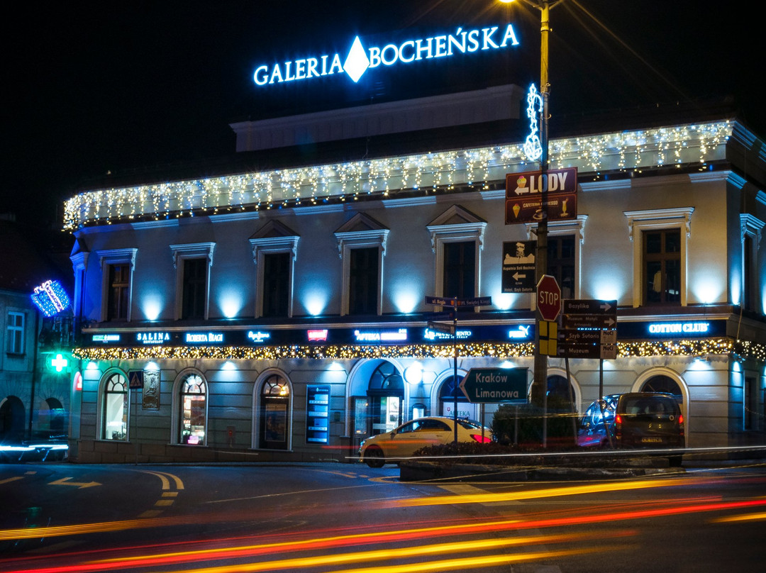 Galeria Bochenska景点图片