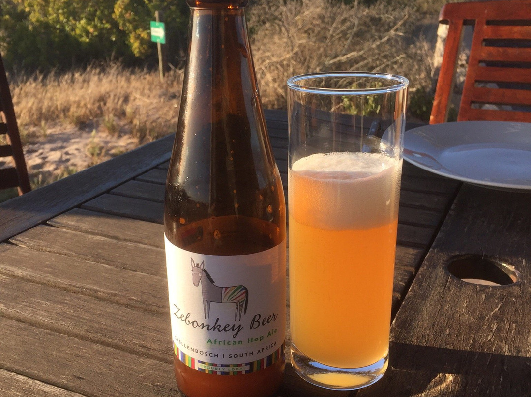 Zebonkey-斯泰伦博斯必去景点