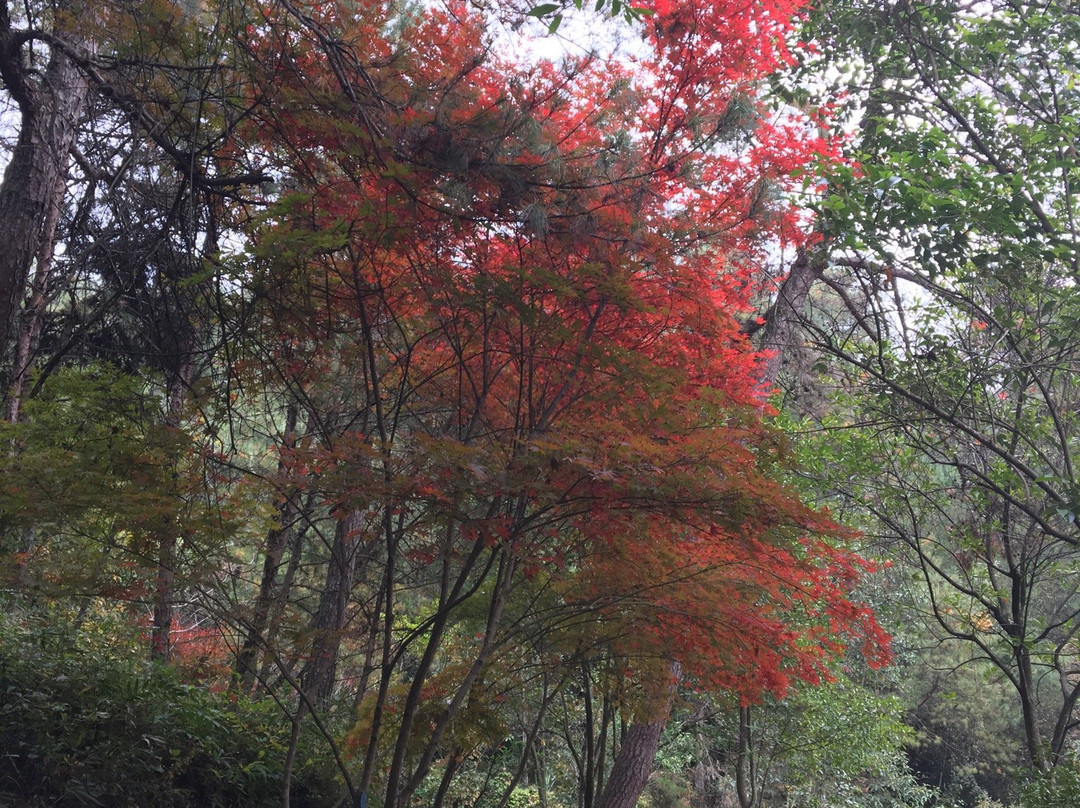 花山谜窟-黄山市必去景点